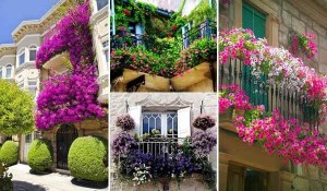 Balcony Planters