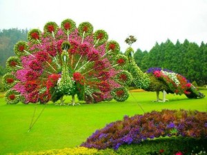 Floral Peacock Statues