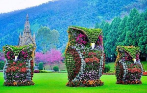 Floral Owl Statues