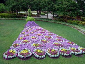 Floral Trailing Feathers 