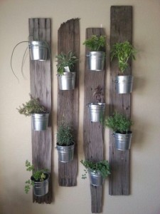 Wall garden in tin can pots